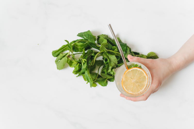 House-made lemonade with fresh mint at pizzaluce